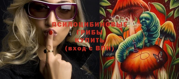 спиды Нефтекумск