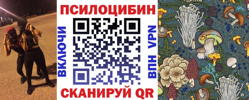 Псилоцибиновые грибы MAGIC MUSHROOMS Кедровый